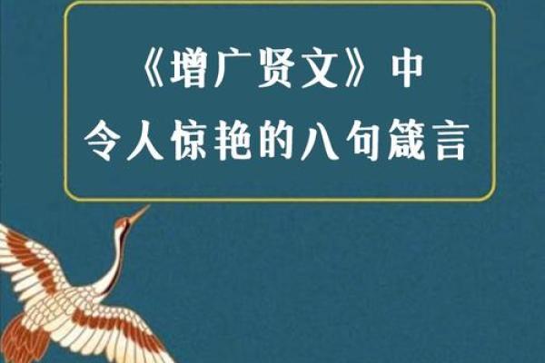名字的力量：赵静怡的寓意与人生哲琿