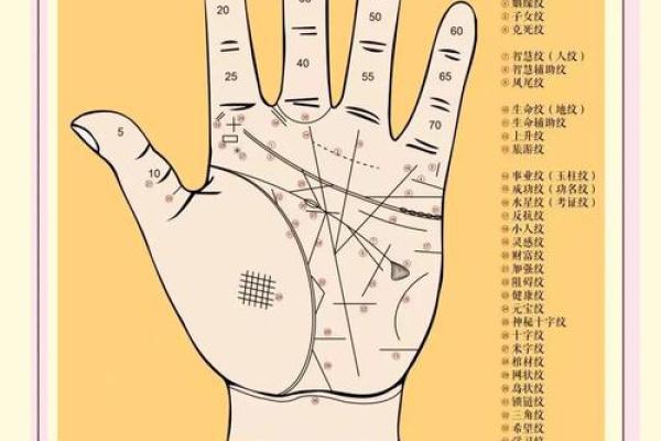 永恒印记：揭秘早逝者神秘手相