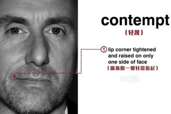 出轨面相揭秘：这些特征让你一眼识破！