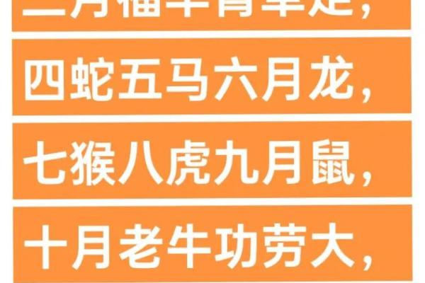 鸡年六月宝，悦耳好名字