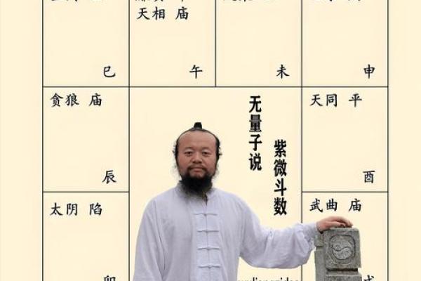 解读紫微斗数中的地支关系