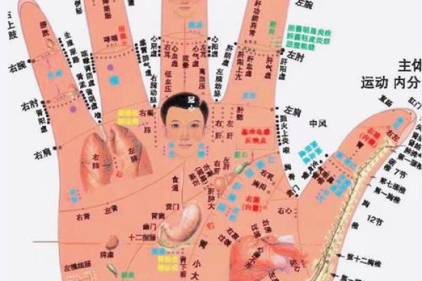 手相全解：女性掌中运势全攻略