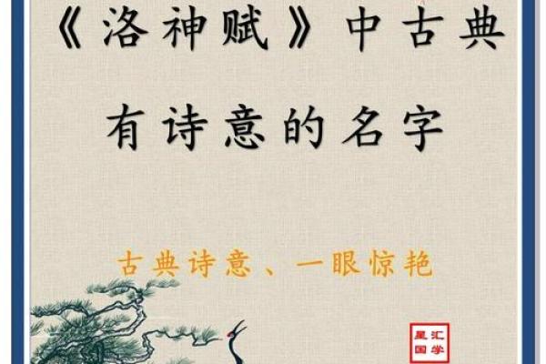 潘姓女孩诗意名字的独特选择