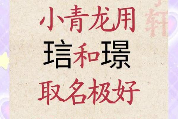 从玺龙看中国姓名之美：传统与现代交融的典茿