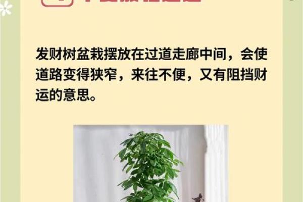 提升家居运势的植物风水学讲解