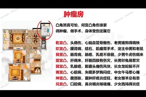 深入了解上等风水学的风水布局与调理方法