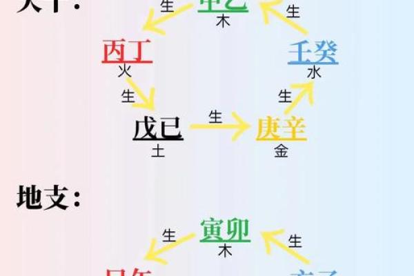 探秘向五行的归属