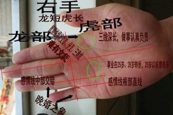 手相大师亲授：索状纹理预示着怎样的命运转折？