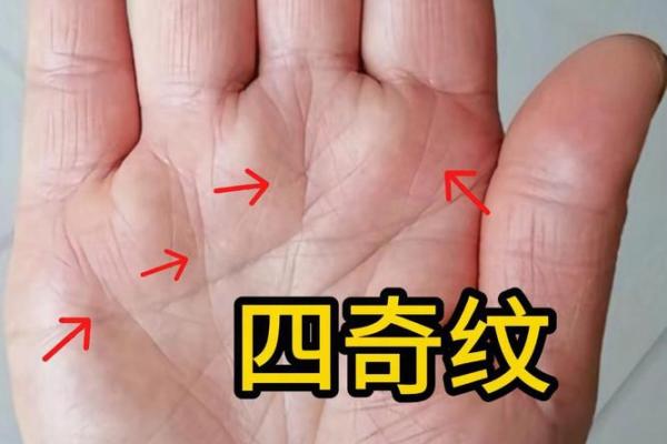 手相识人术：一眼看穿性格命运