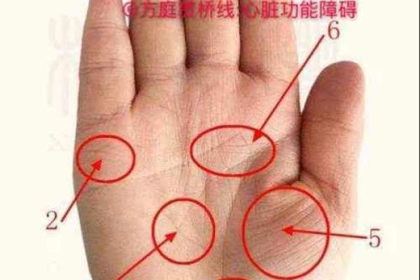 手相识人术：一眼看穿性格命运