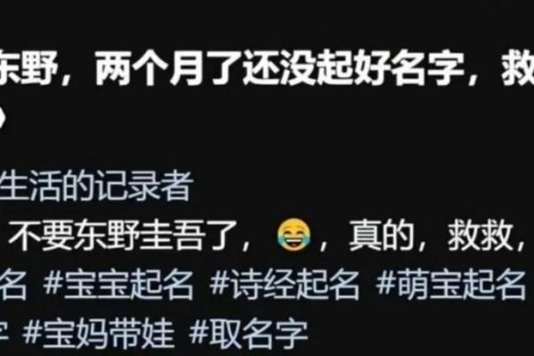 穿越时空：探寻小众女生名字背后的文化底蕴