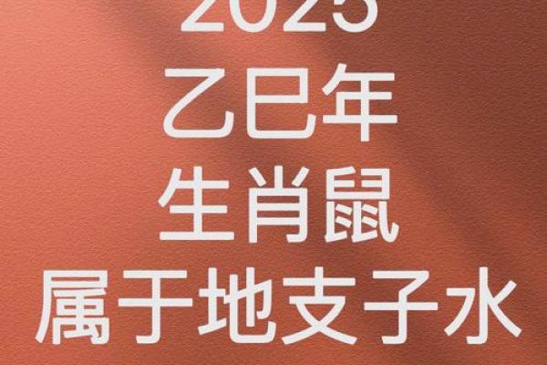 鼠年运势大揭秘：生辰八字助你财运亨通