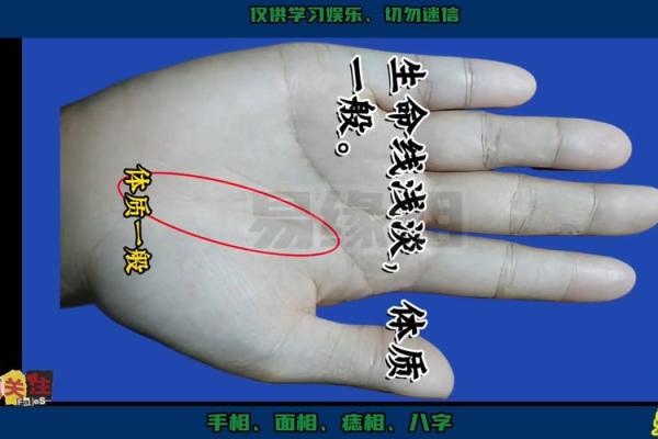 塔骨揭秘：手相中的财富密码
