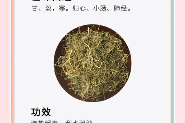 从草药到宝贵遗产：中药文化的历史与发展