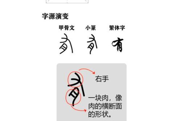 探讨俊字的五行及其文化象征