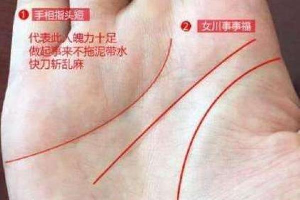 神秘手相缺陷大解析，看看你的命运如何被影响！