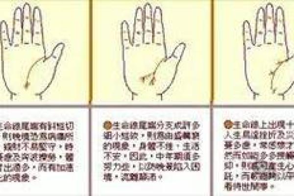 神秘手相缺陷大解析，看看你的命运如何被影响！