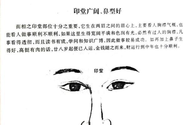 鼻翼宽阔，财运亨通！