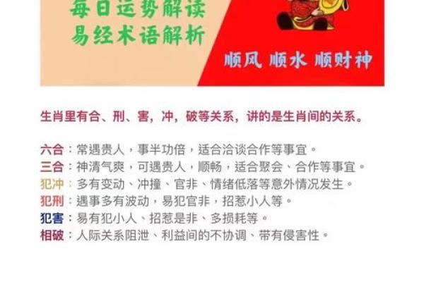 1965年生肖运势指南：揭秘你的命运密码，抓住最佳时机！
