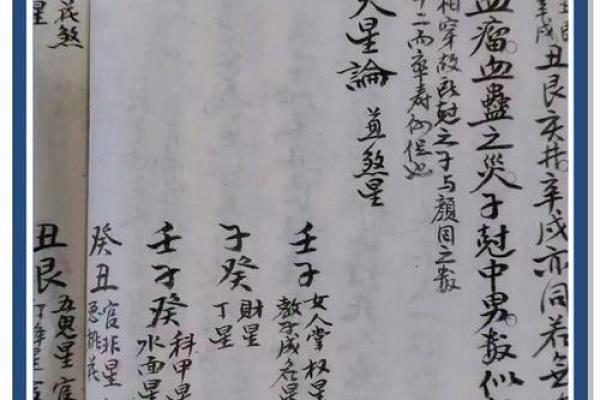 天星阳宅风水揭秘：老赵带你领略老祖宗智慧