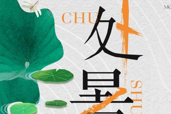 探秘处暑时节的美食与古老风俗