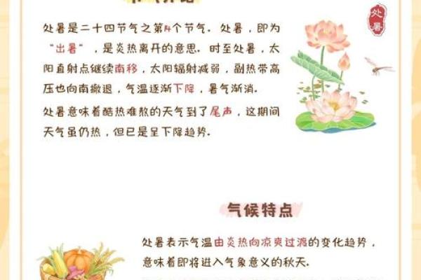 探秘处暑时节的美食与古老风俗