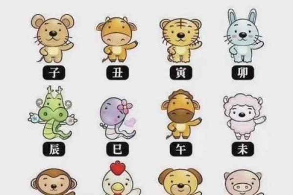 今天属猪的运势解析