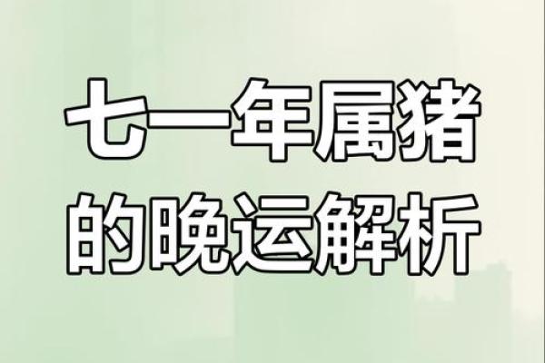 今天属猪的运势解析