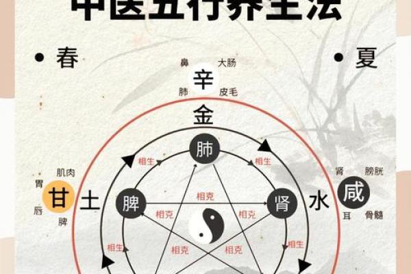 五行相生相克在中医中的实践