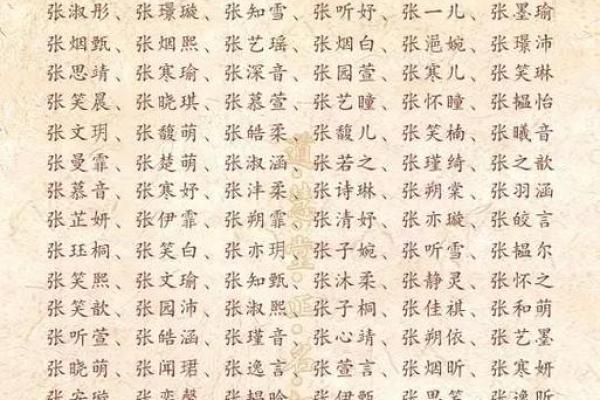 张姓男孩名字大全：寓意美好与吉祥的取名建访