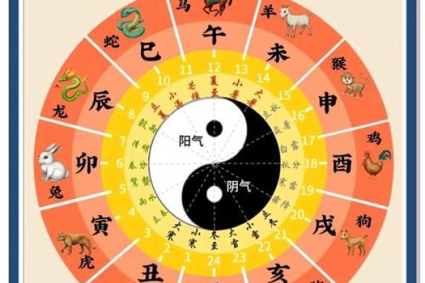 天干地支与生肖的深厚渊源
