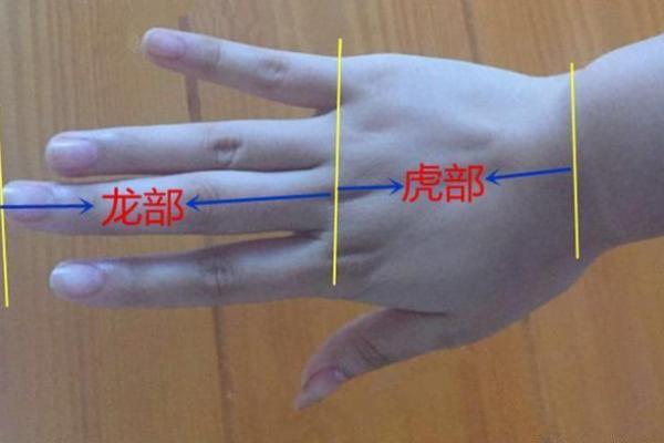 手相大揭秘！揭秘男生爪纹背后的运势秘密
