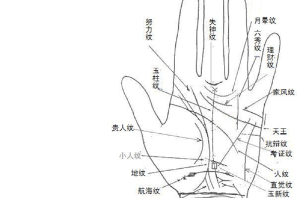 手相大揭秘！揭秘男生爪纹背后的运势秘密