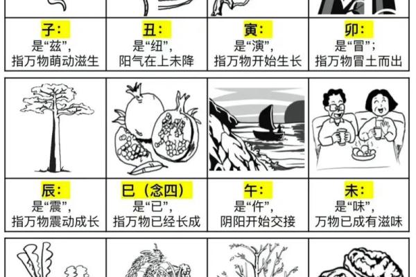 十二天干地支读音全面解析