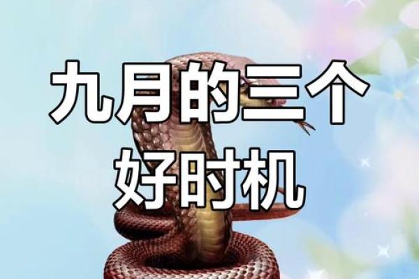九月运势解析：抓住机会迎接新挑战