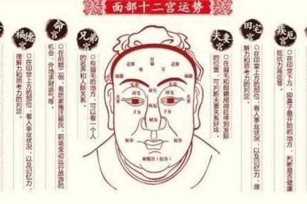 面相运势揭秘：揭秘人生巅峰时期的黄金年龄段