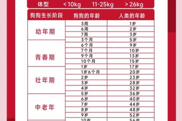 狗年吉祥宝宝名字宝典