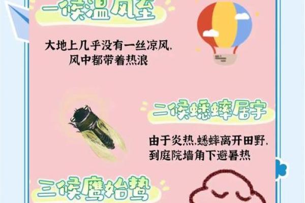 阳光小暑，宝宝佳名