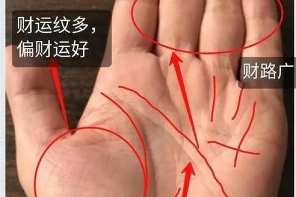 左掌乾坤，命理揭秘：破解人生运势的神奇秘籍