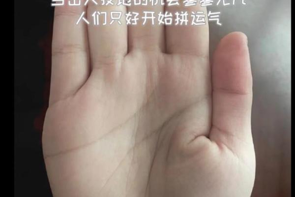 左掌乾坤，命理揭秘：破解人生运势的神奇秘籍