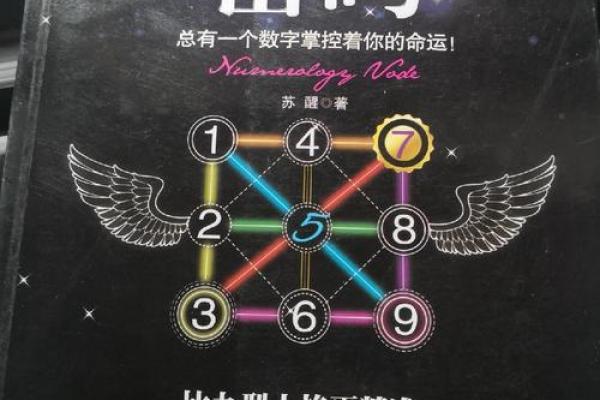 手指长度解码，揭秘你的命运密码