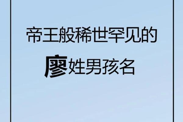 明年廖宝宝姓名创意盘点