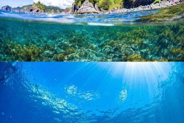 职场小确幸：办公室里的海景秘境