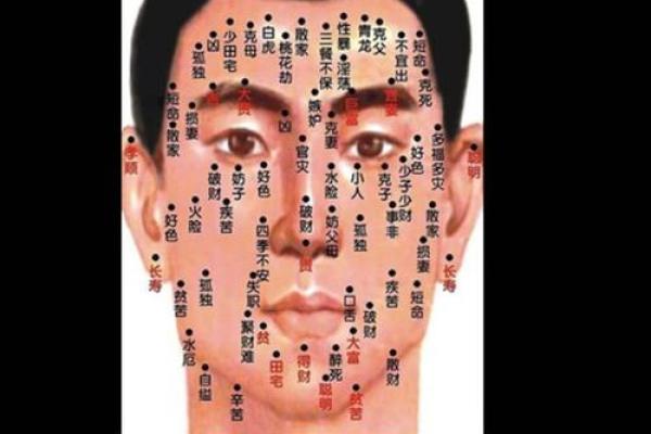 一图读懂男性相痣，掌握健康财运！