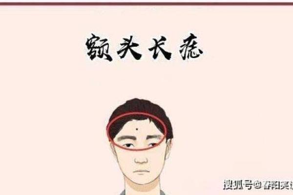 青龙白虎面相揭秘：财运亨通，运势飙升！
