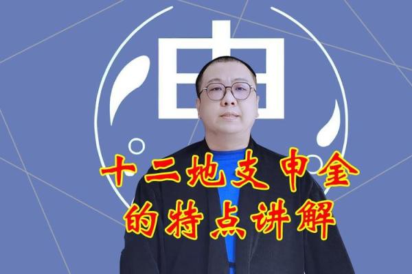 如何理解地支申金图解的内涵 如何理解地支申金图解的内涵