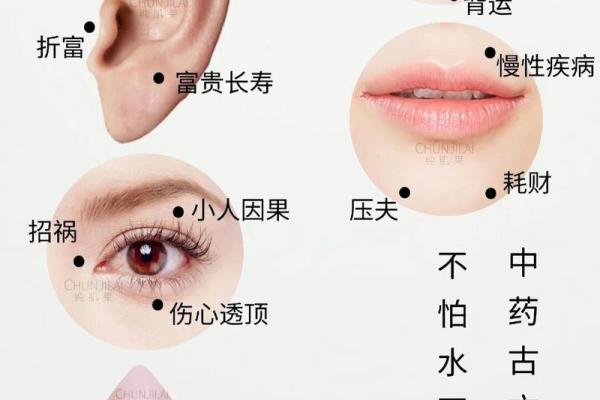 一眼识人！全面解析人全痣相的奥秘