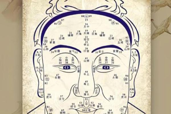 面相揭秘：心智不全者的独特特征