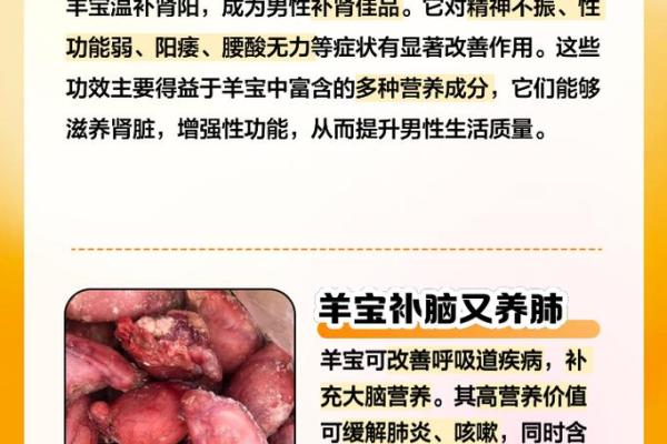 龙脉羊胎，吉祥宝名