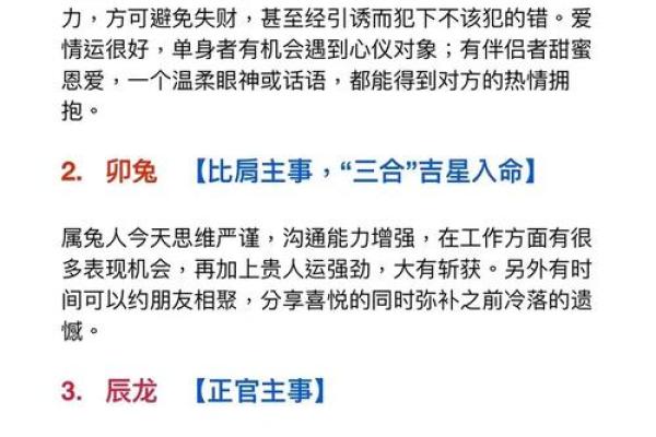 生肖命理揭秘：办公室风水布局，打造你的财运旺地